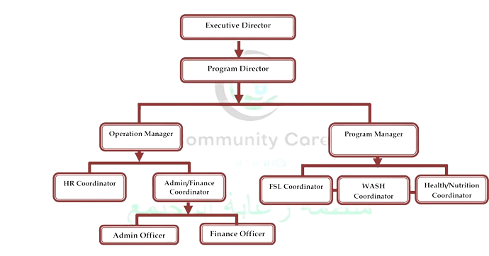 Organizational structure