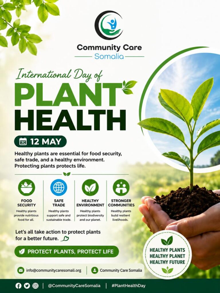 International Day of Plant Health: Protecting Plants, Protecting Life